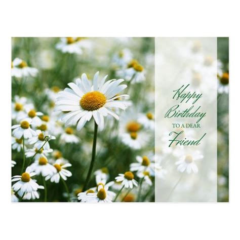 Happy Birthday Daisies For Friend Postcard