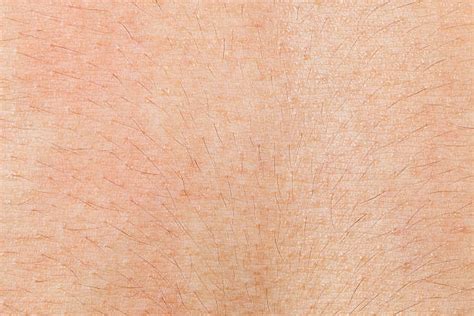 Royalty Free Skin Texture Pictures Images And Stock Photos Istock