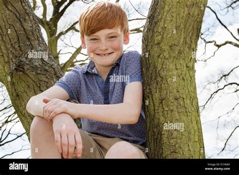 Porträt Der Junge Sitzt Im Baum Stockfoto Bild 69834266 Alamy
