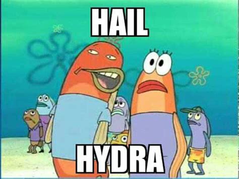 Hail Hydra Marvel Memes Funny Marvel Memes Spongebob Memes