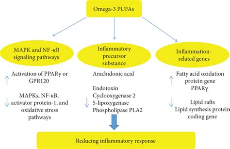 Associations Among Dietary Omega 3 Polyunsaturated Fatty Acids The Gut