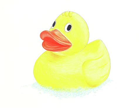Rubber Duck Drawing By Kim W Nolan