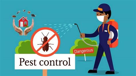 Call For Pest Control If You See These Warning Signs Top Line Pest Control