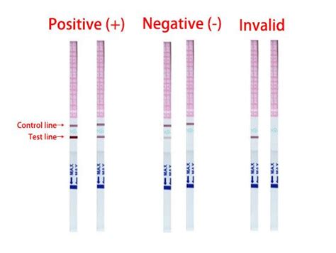 How To Read Ovulation Test Strips Faint Line Tedamed