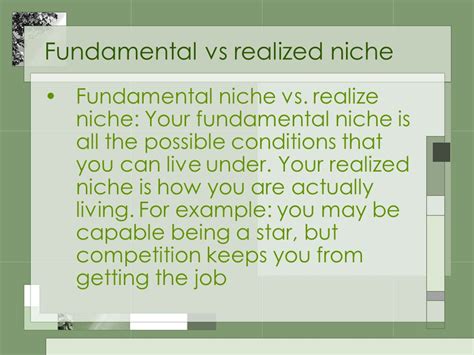 fundamental vs realized niche