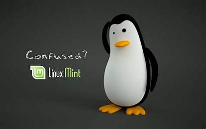 Linux Mint Wallpapers Desktop Backgrounds Computer Wallpapersafari