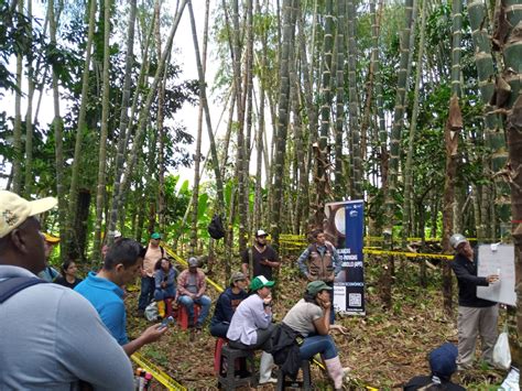 Técnicos de Ecuador se capacitan en el manejo sostenible del Bambú