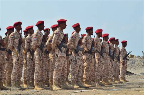 جريدة إلكترونية مستقلة ترصد جميع الأخبار السياسية، الفنية والرياضية في لبنان والشرق الأوسط، بالاضافة إلى تحليل الاحداث الدولية والمحلية ومواقف الشخصيات تخرج أول سرية من المنتسبين الجدد لكتيبة العاصفة خمسة بعدن ...