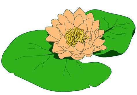 Lily Pad Outline Clipart Best
