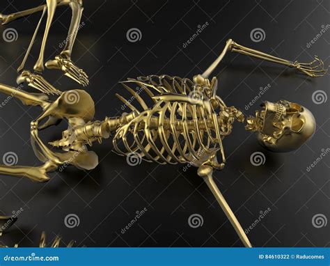 Golden Skeleton Royalty Free Stock Photo 15203883