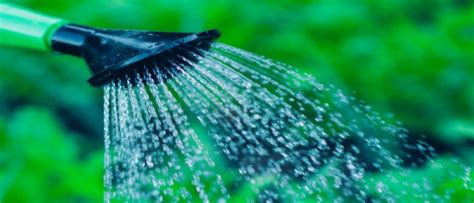 Sprinkler system water usage will vary by type and model. Best Way to Water Lawn Without Sprinkler System » Best Lawn Sprinkler