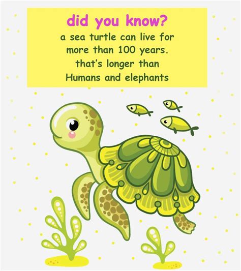 25 Fun Facts About Sea Turtle For Kids Momjunction