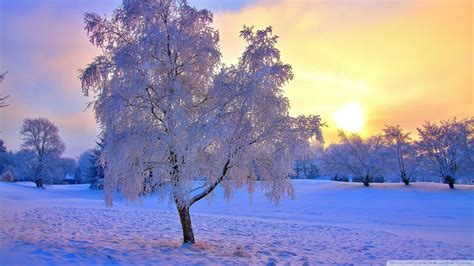 Sunset Winter Wallpapers Top Free Sunset Winter Backgrounds