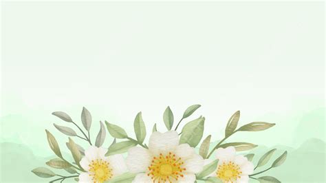Background Latar Belakang Bunga Yang Elegan Dengan Karangan Bunga Putih
