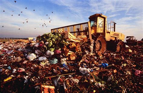 The Effects Of Improper Waste Disposal Erg Environmental Services