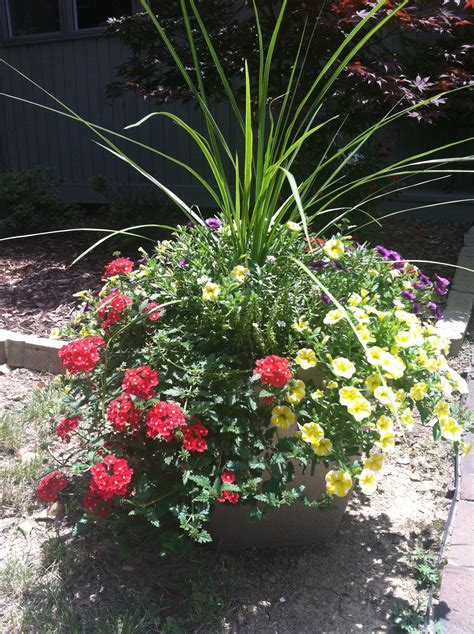 Great Color Combination And All Summer Blooms