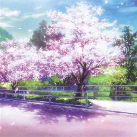10 Most Popular Cherry Blossom Tree Anime Wallpaper Full Hd 1080p For