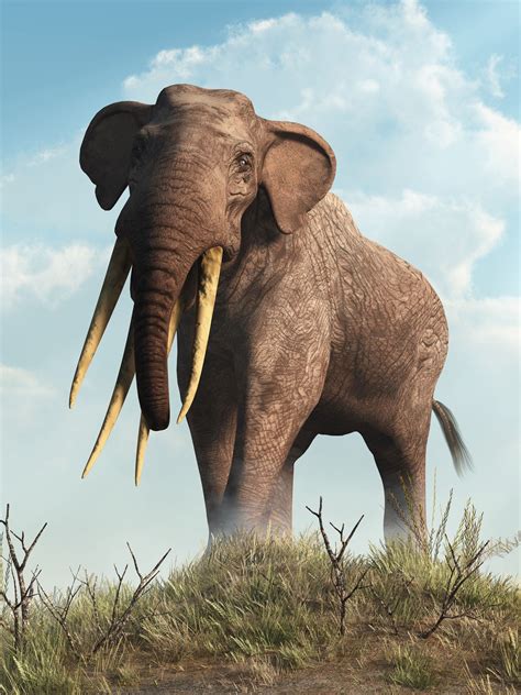 Jeevoka Celebrate World Elephant Day With These Prehistoric Elephants