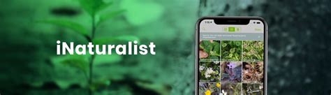 Best plant identification app android/ios 2021. Best 7 Plant Identification Apps for Plant lovers in 2020