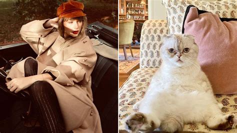 Taylor Swifts Cat Is The Third Wealthiest Pet In The World With A