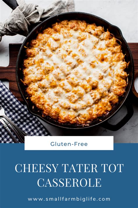 I have a recipe for a hamburger casserole that i was reminded of when you said worcestershire sauce. Gluten Free Cheesy Tater Tot Casserole | Recipe in 2020 ...