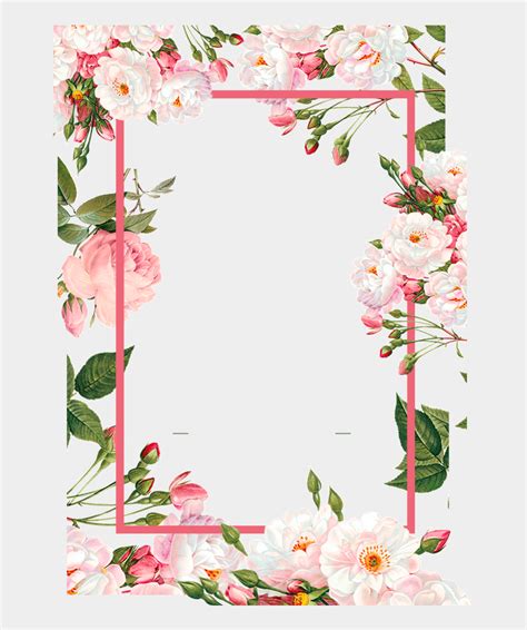 Pink Borders And Frames
