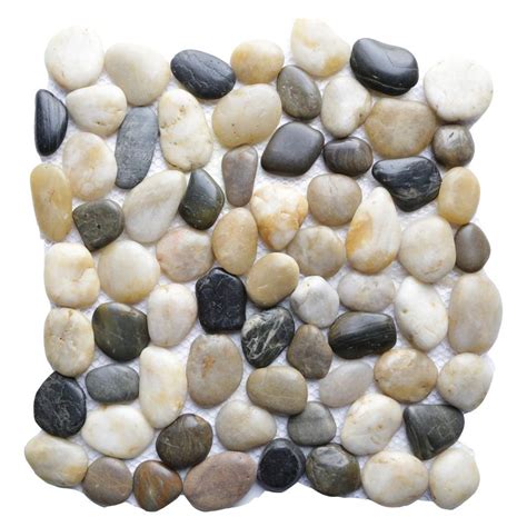 Islander Multi 12 In X 12 In Natural Pebble Stone Floor And Wall Tile