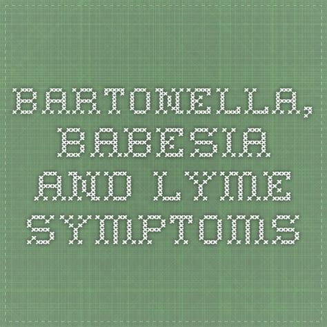 Bartonella Babesia And Lyme Symptoms Disease Symptoms Lyme Disease