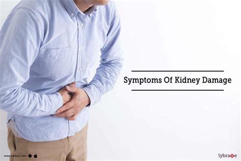 Symptoms Of Kidney Damage First Signs When You Might Have Kidney Damage
