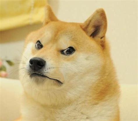 Angry Doge Blank Template Imgflip