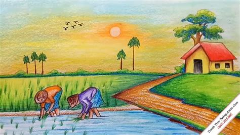 Mẹo Vẽ Vẽ Tranh Con Người đang Gặt Lúa Thật Chân Thực Và Sống động