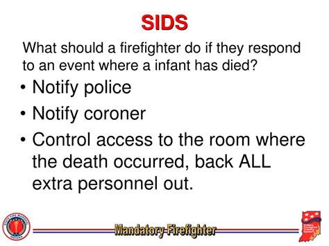PPT - Sudden Infant Death Syndrome PowerPoint Presentation, free download - ID:3012156