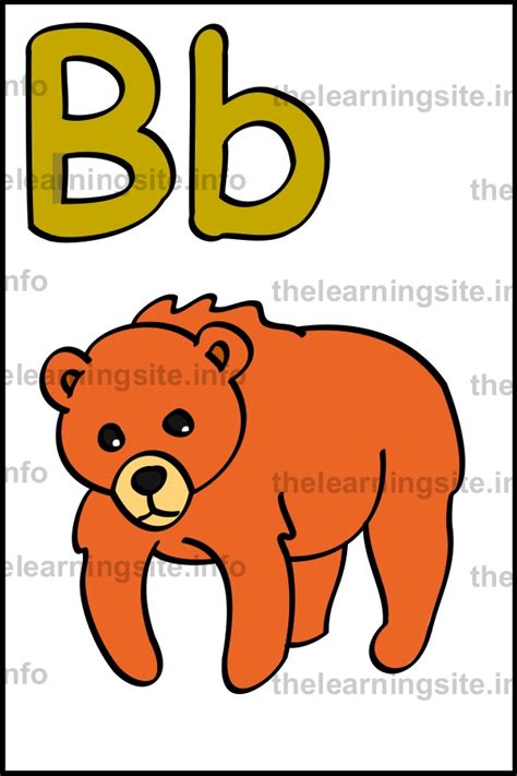 Letter B Flashcard Simple Bear The Learning Site My Xxx Hot Girl