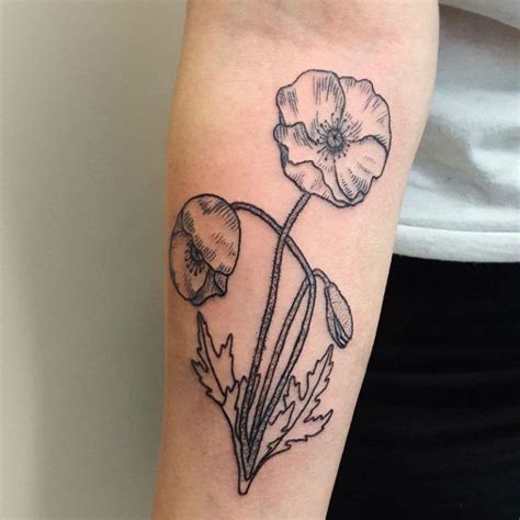 24 Charming Poppy Tattoos Flower Tattoo Shoulder Poppies Tattoo Tattoos