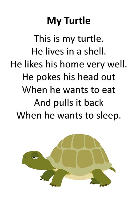 Itty Bitty Rhyme My Turtle Kids Poems Preschool Poems Kindergarten