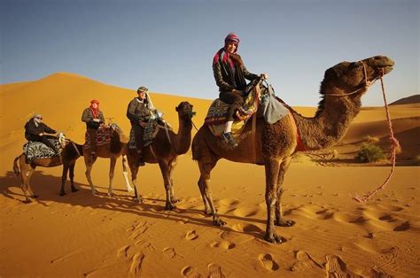 Drive through tizi n tichka pass 2260 meters altitude in the high atlas mountains visit unesco world heritage site kasbah ait ben haddou. 7 Days Camel trekking tour from Casablanca to Marrakesh ...