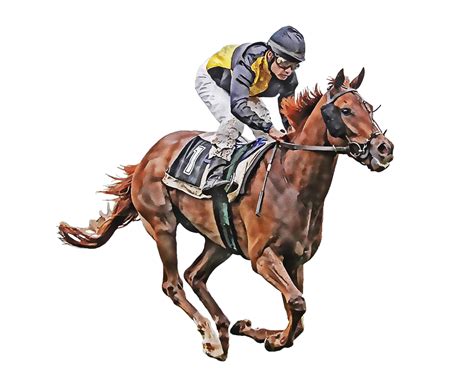 Horse Racing Png Images Hd Png Play