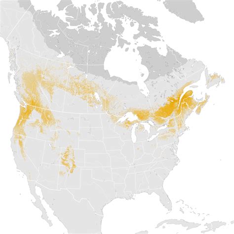 Evening Grosbeak Abundance Map Pre Breeding Migration Ebird Status