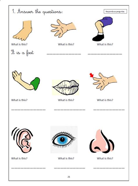 Partes Do Corpo Em Ingles Exercicios