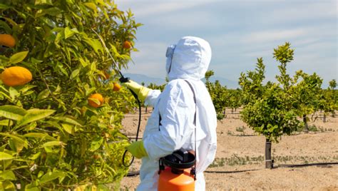 Epa Considers Approving Uses For Highly Toxic Broadly Banned Pesticide