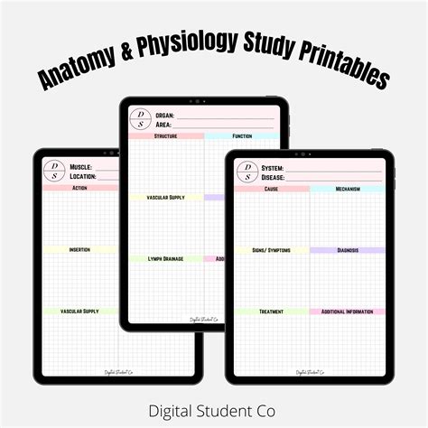 Anatomy And Physiology Note Templates Etsy