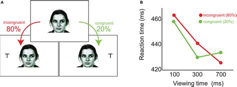 Frontiers Following Gaze Gaze Following Behavior As A Window Into Social Cognition