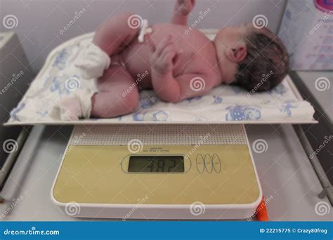 Newborn Baby After Delivery Royalty Free Stock Photo Image 22215775