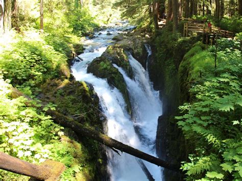 6 Enchanting Waterfalls Around Olympic National Park