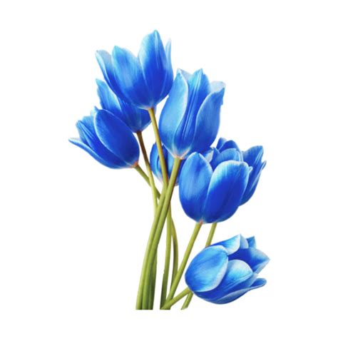 Flowers Png Images Transparent Free Download
