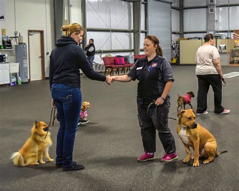 How To Become A Certified Dog Trainer In Florida Online Dog Trainer