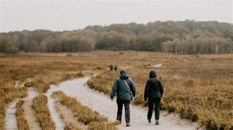 Guided And Organised Walks In The New Forest New Forest Walks
