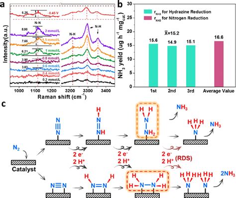 A Electrochemical In Situ Raman Spectra Of N 2 H 4 Adsorbed On The