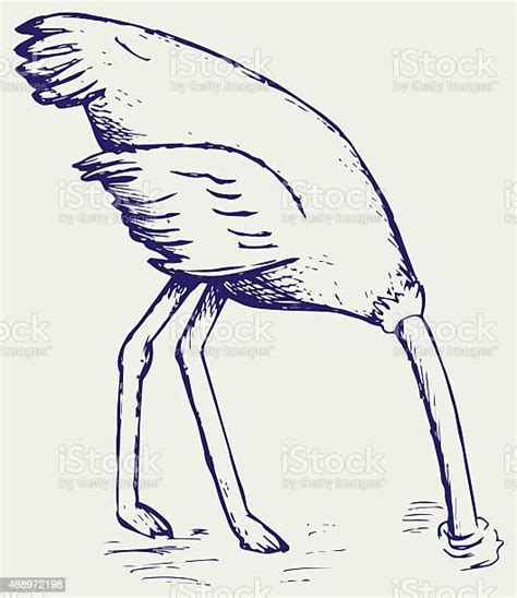 Ostrich Burying Its Head In Sand Stock Illustration Download Image