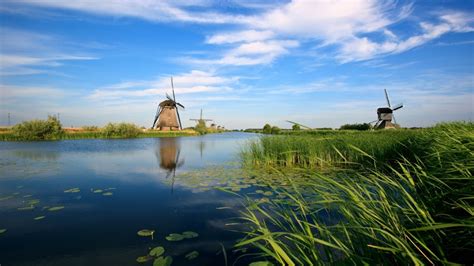 Beautiful Scenery Holland River Mills Vegetation Wallpapers Hd